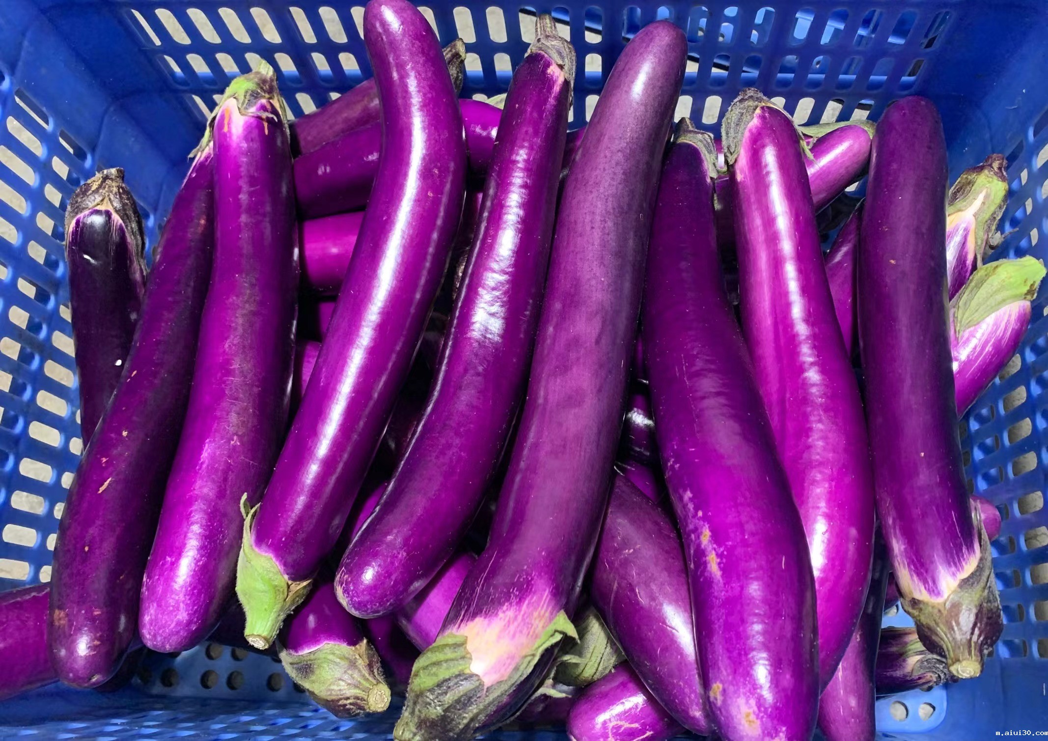 微信图片_20230224160007 微信图片_20230224160007