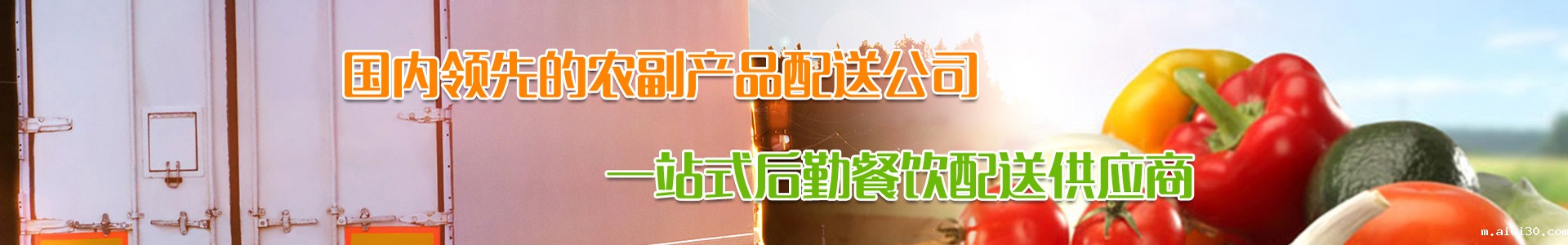 广州aiui30蔬菜配送公司
