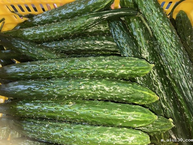 东莞aiui30公司水果配送价格表 2025-9-1