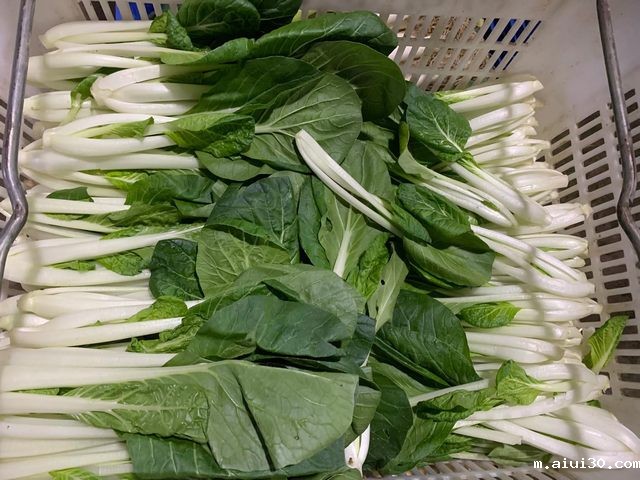 新蔬菜配送中心怎么样