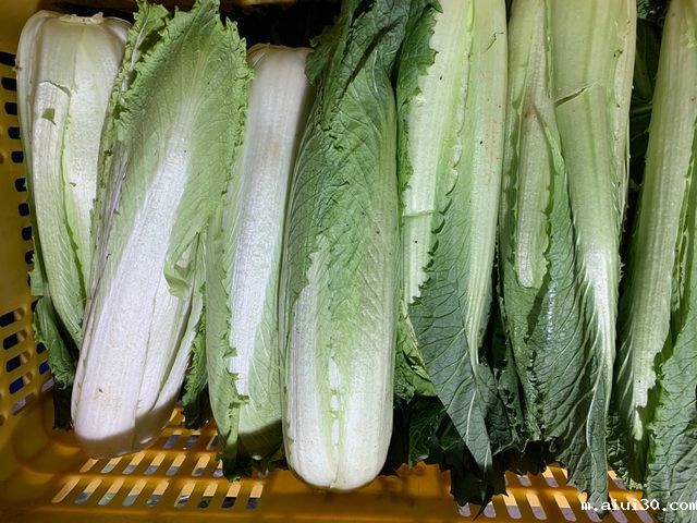 东莞aiui30公司蔬菜配送价格表 2025-9-1