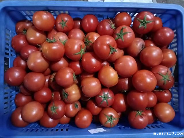 东莞aiui30公司水果配送价格表 2025-9-8