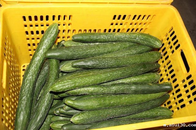 食品流通企业现状及发展趋势