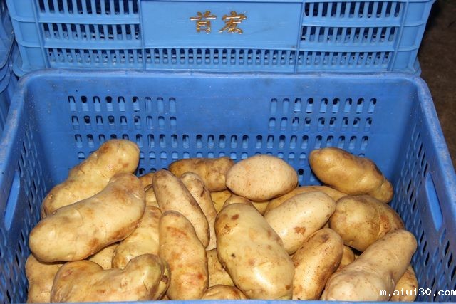 新鲜蔬菜送到家，蔬菜配送网站