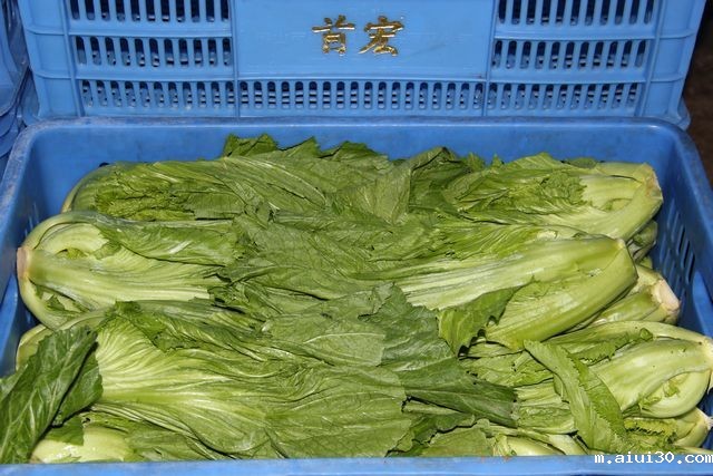 如何选择最佳的蔬菜配送服务