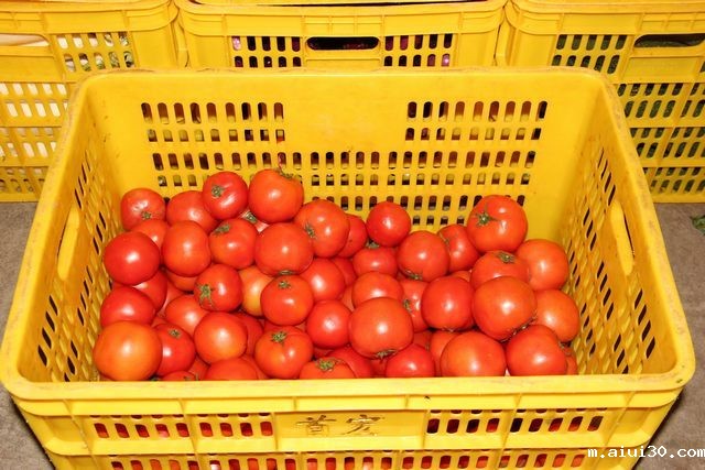 东莞aiui30公司水果配送价格表 2025-10-27