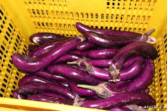 蔬菜价格惊人下跌！