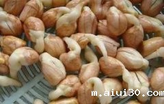 花生发芽会让营养加倍