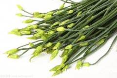 韭菜和韭菜花的营养价值你一定要知道