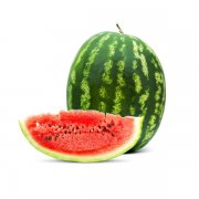 伟德app手机下载安装苹果浅谈我国食品召回的发展方向