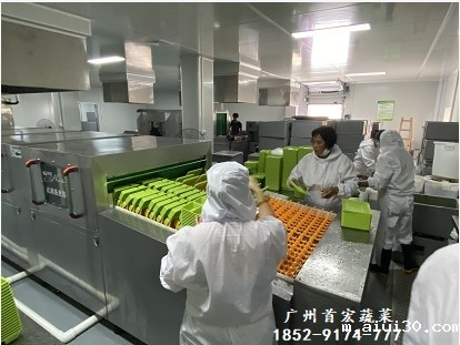 广州餐饮配送服务公司