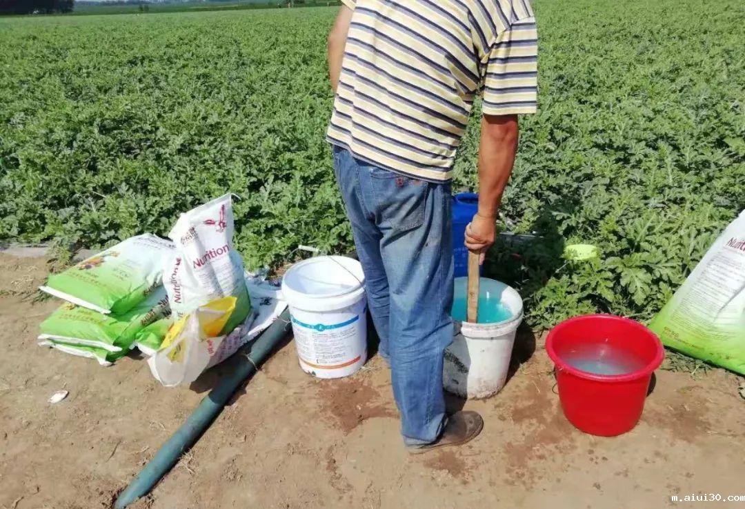 蔬菜并非越新鲜越好？