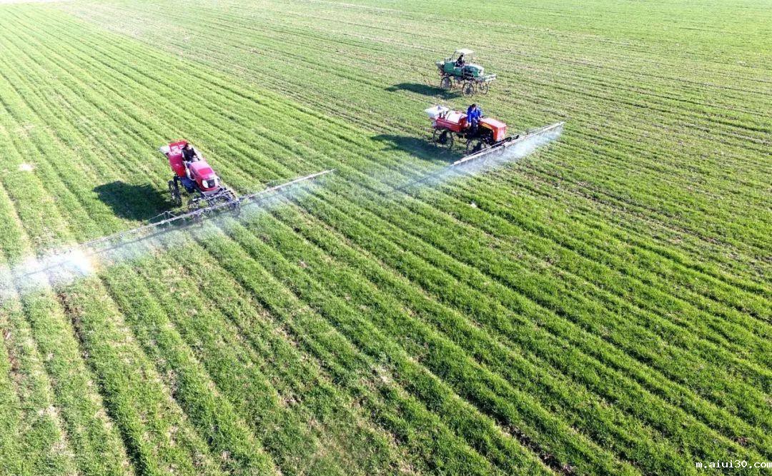 在广州蔬菜配送行业里 蔬菜不一定是越新鲜越好？