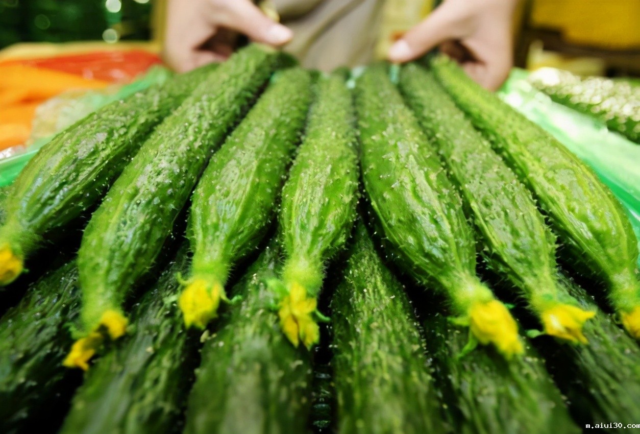蔬菜配送公司在采购黄瓜时，要学会掌握三点辨别方法！