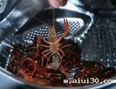用洗衣机洗小龙虾？广州蔬菜配送教你如何轻松清洗小龙虾