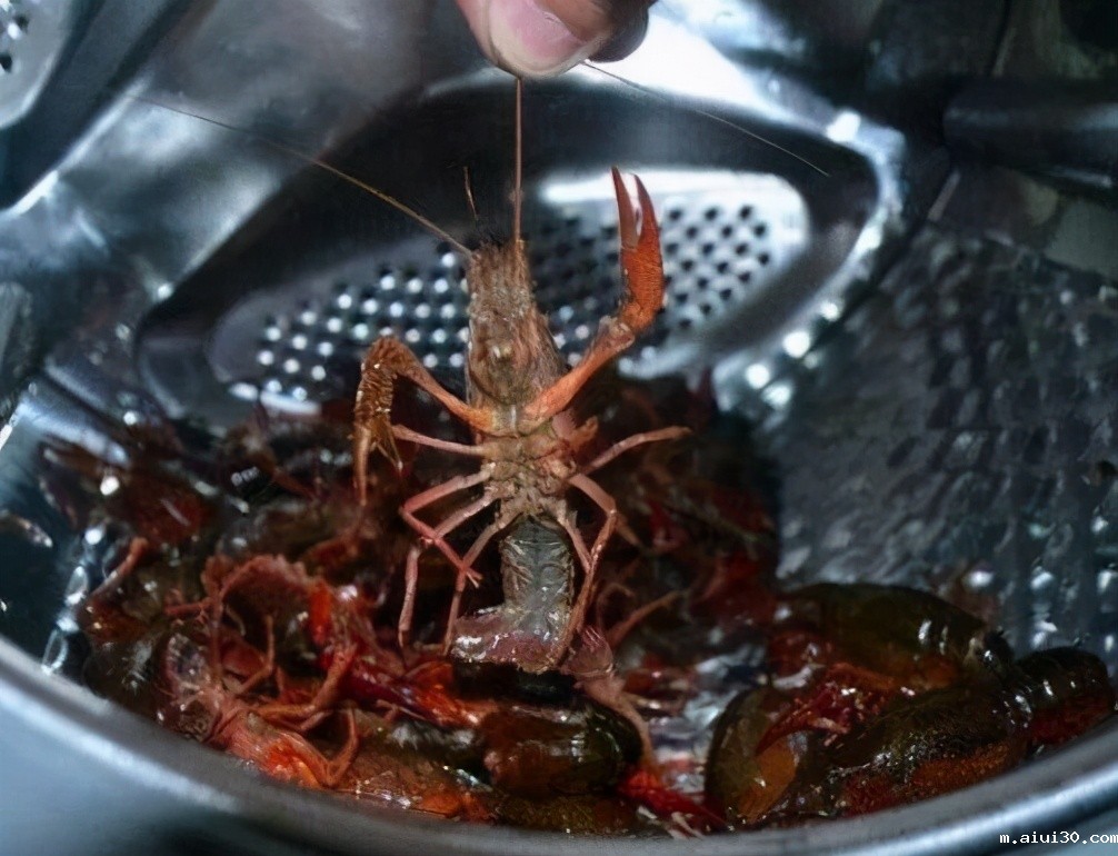 懒货用洗衣机洗小龙虾,洗完却后悔了,教你4招轻松清洗小龙虾