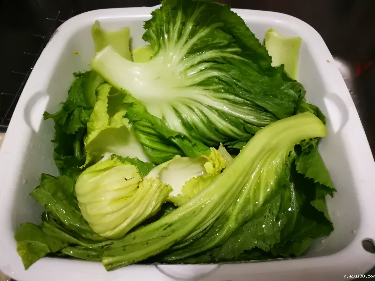 夏天这几种应季蔬菜,一定别错过,含钙量比牛奶高