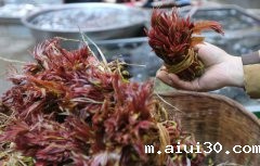 广州生鲜蔬菜配送：三种蔬菜吃了可能会导致血压会突然飙升！