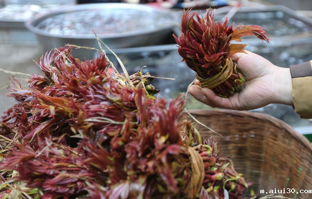 三种蔬菜或是高血压的“命门”,管不住嘴,血压可能会突然飙升