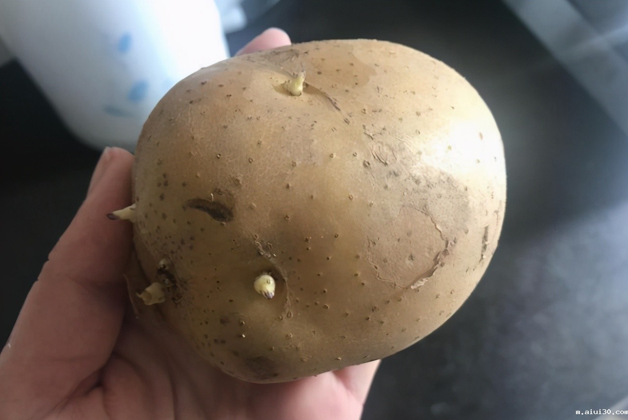 广州新鲜蔬菜配送:夏季这4种蔬菜不要碰,易含毒素不好处理