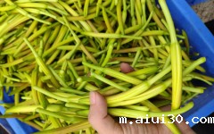 广州新鲜蔬菜配送：夏季这4种蔬菜不要碰，易含毒素不好处理