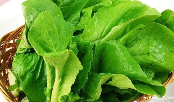 食堂生鲜配送:蔬菜热量低但营养价值绝对不低!