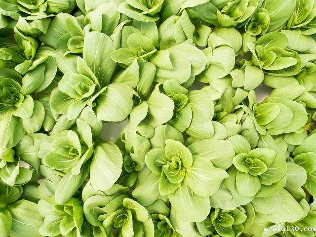 万江蔬菜配送公司