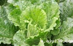 蔬菜品种大全,你知道多少？东莞蔬菜供应全部教给你