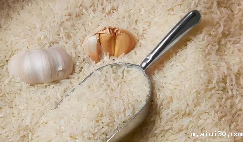 专业蔬菜配送教你如何分辨大米好坏?不看价格看2行字