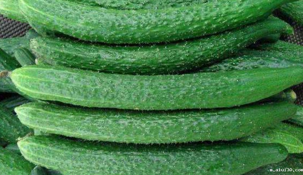 为了顺应节气平安度夏,政府蔬菜配送建议多吃4种蔬菜