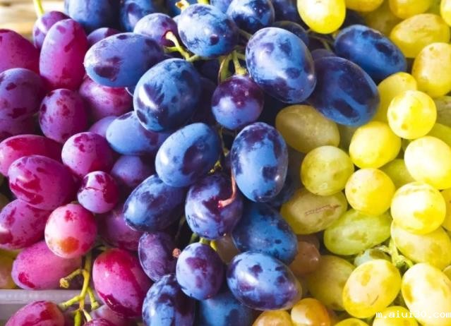 蔬菜生鲜配送建议大家只要是果皮可以食用的,就不要抛弃它!