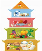 蛋白质是人体的必需营养成分，但长期过量摄入会影响健康