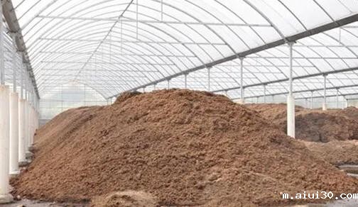 常见的无土栽培基质有哪些?蔬菜配送公司来教你