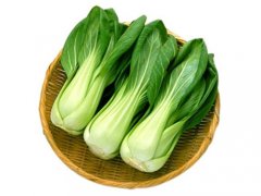 食材配送公司应该注意上海青白菜韭菜验收标注
