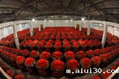 餐饮企业的酒水定价直接影响到餐饮企业的经济效益