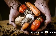 广州蔬菜配送公司餐饮业组织结构