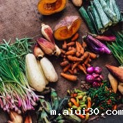 广州蔬菜配送公司的人事考核程序