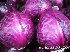 甘蓝的选购技巧