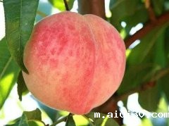 夏天吃什么水果好？夏吃桃子补钾抗疲劳